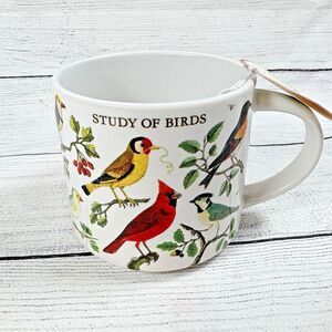 Cavallini & Co 2023 STUDY of BIRDS Ceramic Coffee Mug